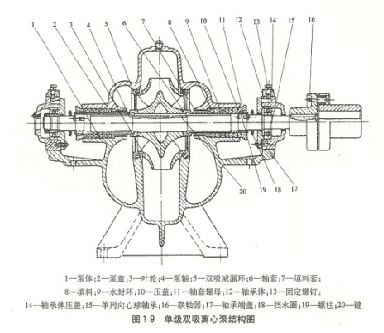 大東海泵業(yè)單級(jí)雙吸離心泵結(jié)構(gòu)圖